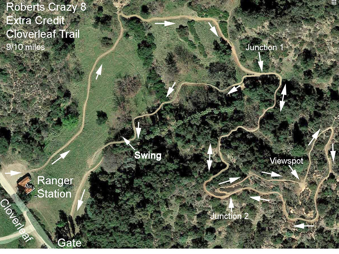 Cloverleaf Roberts Crazy 8 Trail